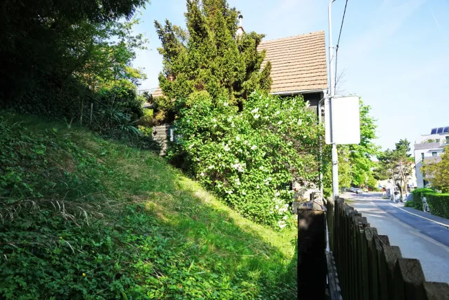 Garten mit Blick zum Haus