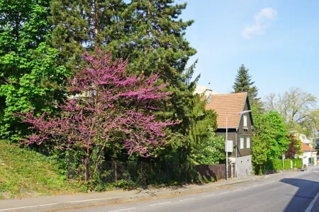 Südostseitige Ansicht von der Straße