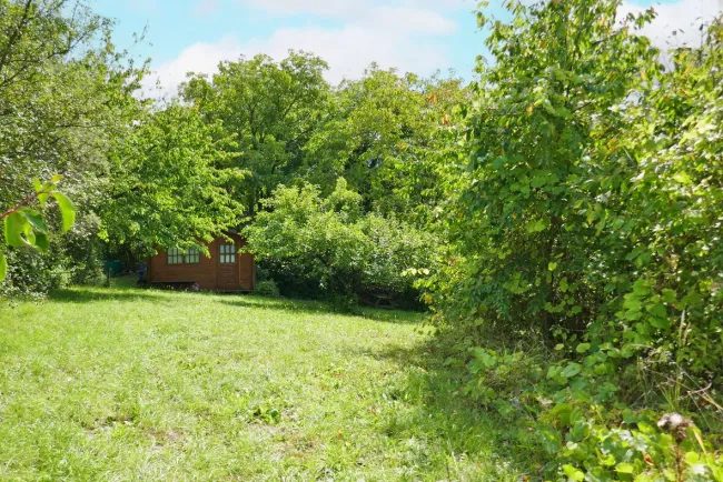 Baugrundstück in idyllischer Lage auf leichtem Südhang in Tulln-Nähe - Titelbild