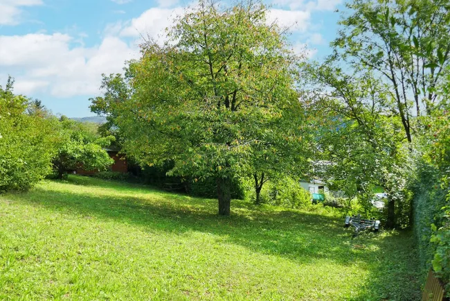 Baugrund auf leichtem Südhang in idyllischer Lage in Tulln-Nähe - Titelbild