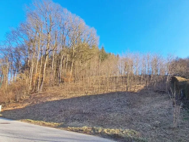 Sonniges Baugrundstück auf Südwest-Lage im Irenental - Bild