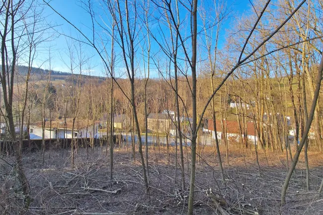 Sonniges Baugrundstück auf Südwest-Lage im Irenental - Bild