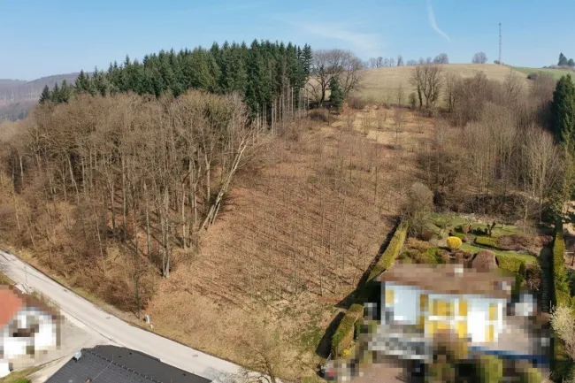 Sonniges Baugrundstück auf Südwest-Lage im Irenental - Titelbild