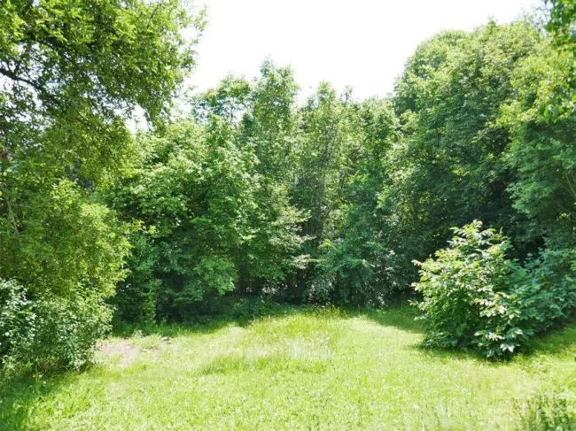 Bauträgergrundstück mit Altbestand in Traumaussichtslage in Gablitz - Bild