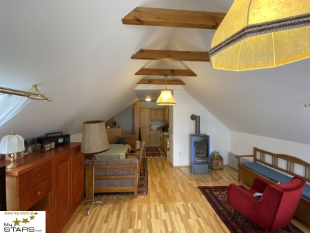 Neuer Preis! - Loftwohnung in historischer Villa mit Garten - Ruhe & Lebensqualität im Ausseerland