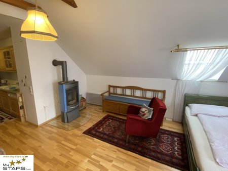 Neuer Preis! - Loftwohnung in historischer Villa mit Garten - Ruhe & Lebensqualität im Ausseerland