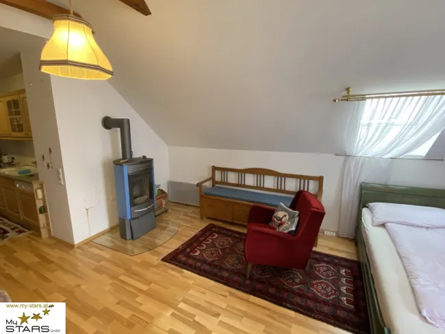 Neuer Preis! - Loftwohnung in historischer Villa mit Garten - Ruhe & Lebensqualität im Ausseerland - Bild