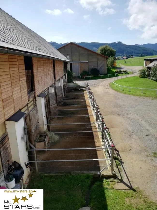 Reiterhof Gut Rosenhof - Titelbild