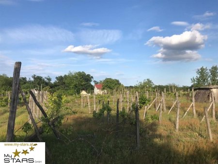Weingut