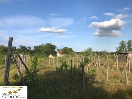 Weingut