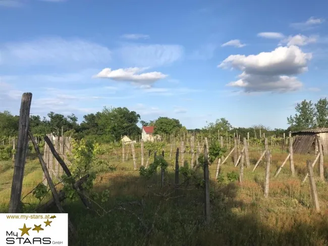 Weingut