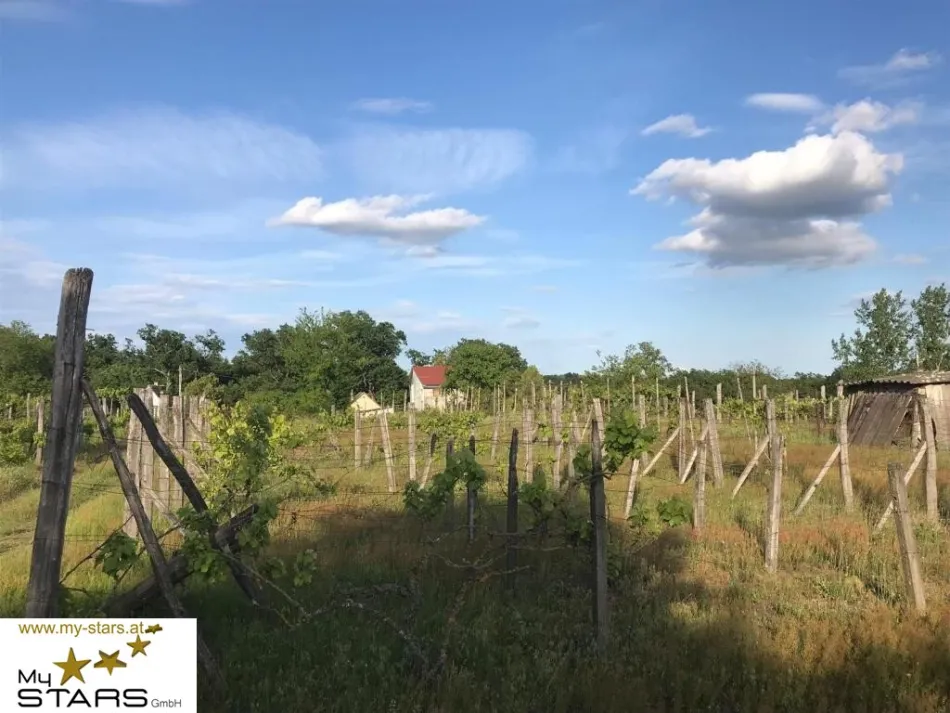 Weingut