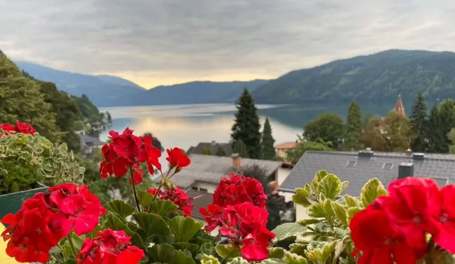 Etablierte Hotelimmobilie mit Infinity-Pool in Toplage am Millstätter See - Bild