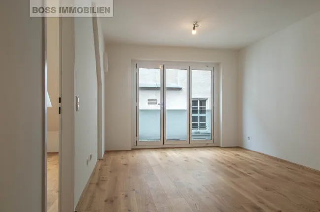 KOLLEG 5 - Top 13 - Bild