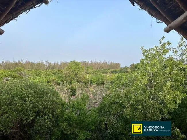 Traumhaftes 4750m² Grundstück in Paje, Zanzibar – Ihr Paradies wartet! - Titelbild