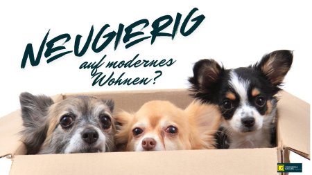 Neugierig auf modernes Wohnen in der Donaustadt?