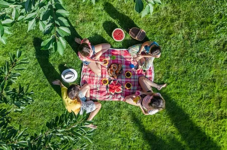 Picknick ©Maria Noisternig, Michael Nagl