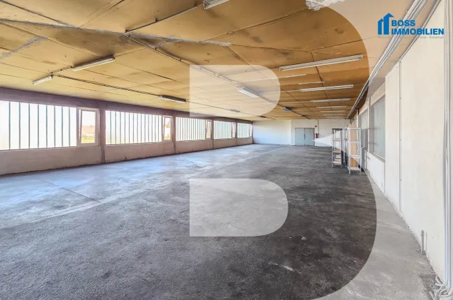 große Lagerfläche - 330 m² Nutzfläche - Titelbild