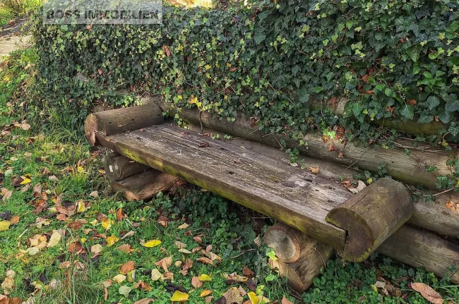 Gartenbereich