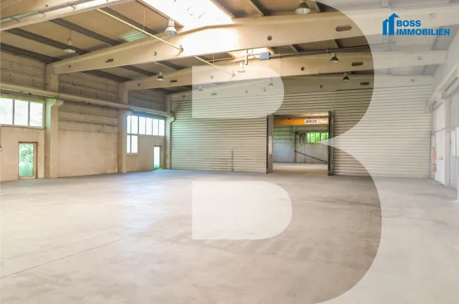 3.250m² Halle mit erstklassiger Verkehrsanbindung - Titelbild