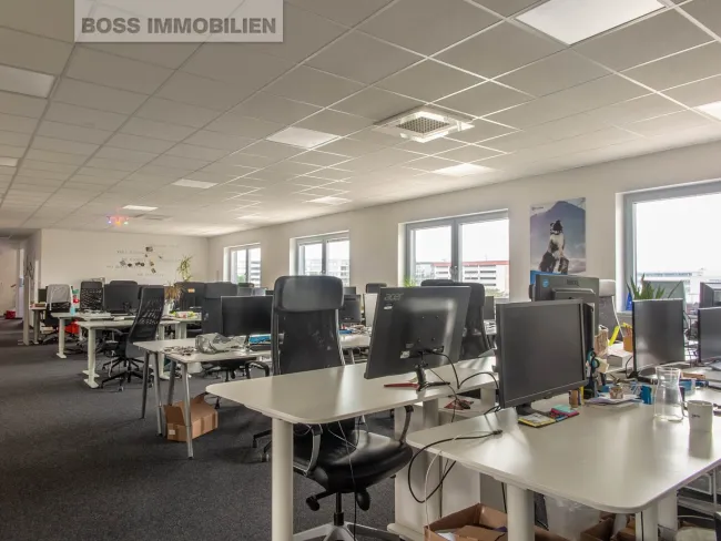 Businessfläche am TOP Standort - 240 m² - Bild