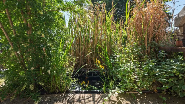 Zierteich Terrasse
