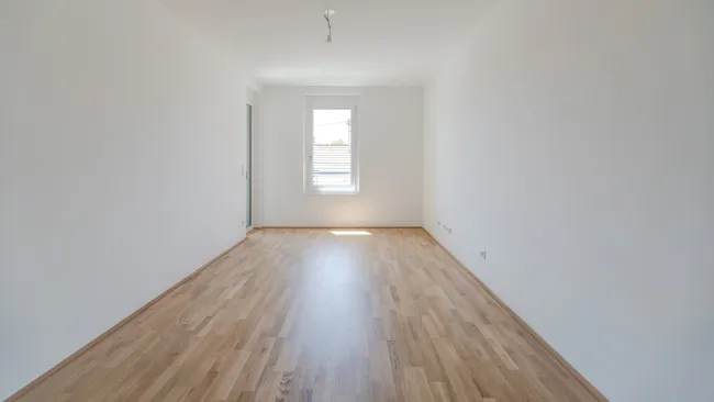 Zimmer 1