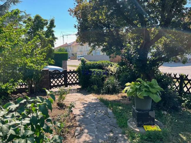 Familienbungalow mit Vollkeller und Ausbaureserve - Bild
