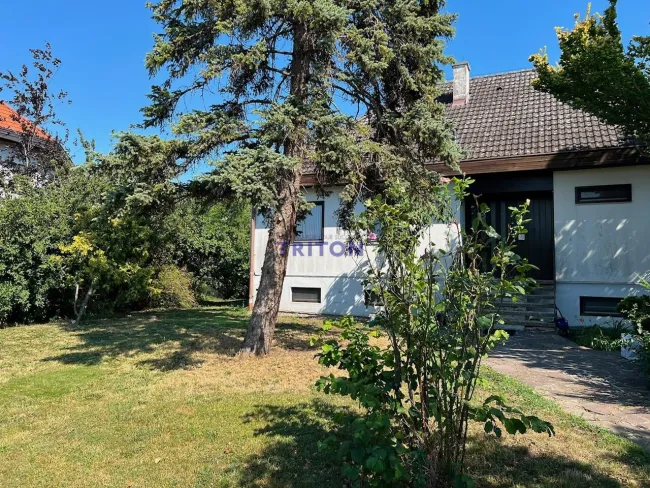 Familienbungalow mit Vollkeller und Ausbaureserve - Titelbild