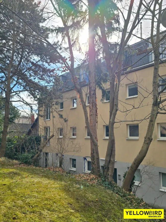 Haus