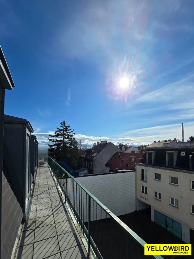 Ausblick