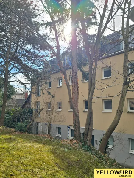 Haus