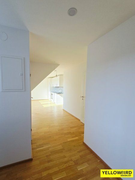Blick vom Vorraum