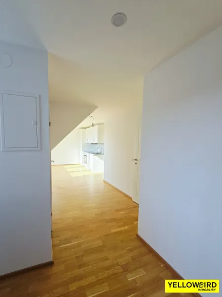Blick vom Vorraum