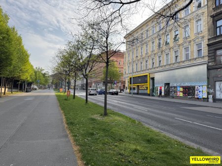 Gürtelsicht