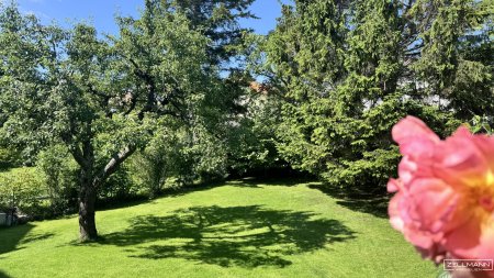 Familienhaus mit Traumgarten in absoluter Grün-Ruhelage | ZELLMANN IMMOBILIEN