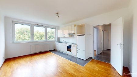 DÖBLING | Helle 1 1/2 Zimmer DG Wohnung | Grünlage | ZELLMANN IMMOBILIEN