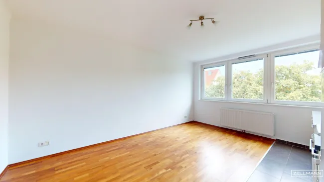 DÖBLING | Helle 1 1/2 Zimmer DG Wohnung | Grünlage | ZELLMANN IMMOBILIEN - Bild