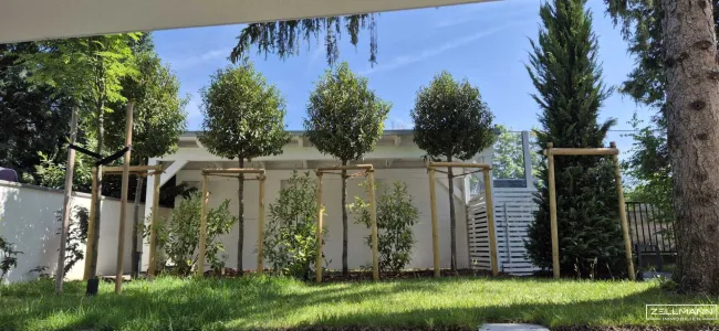 „Wohnen auf höchstem Niveau – Exklusive Altbauvilla mit modernem Luxus in Hietzing“ | ZELLMANN IMMOBILIEN - Bild