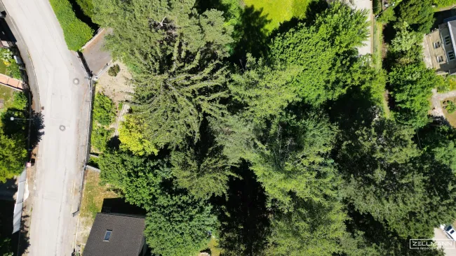 MAUERBACH-STEINBACH | tolles Baugrundstück Eigenheim mit 1071 m² | ZELLMANN IMMOBILIEN - Bild