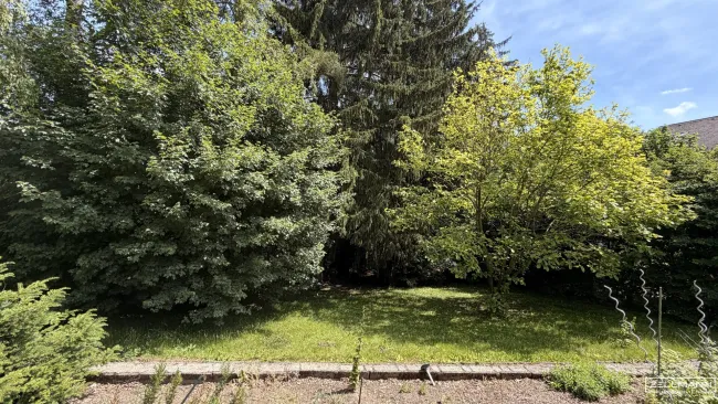MAUERBACH-STEINBACH | tolles Baugrundstück Eigenheim mit 1071 m² | ZELLMANN IMMOBILIEN - Bild