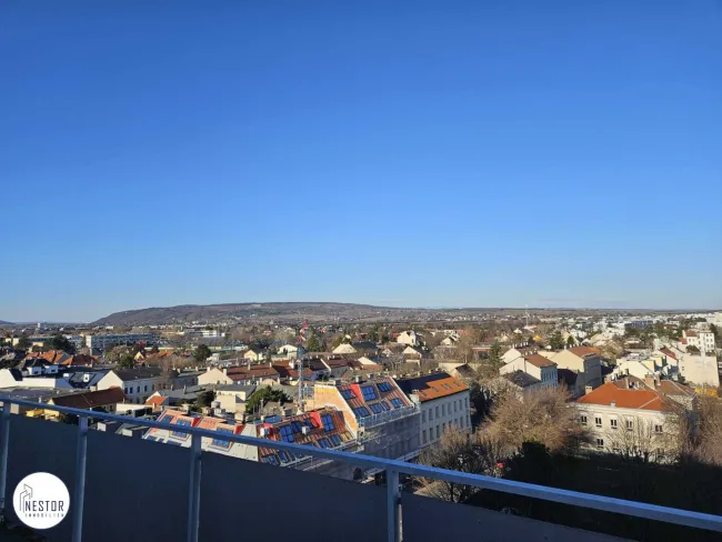 Wohnung - NESTOR Immobilien