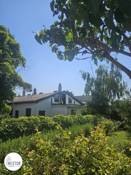 Haus - NESTOR Immobilien