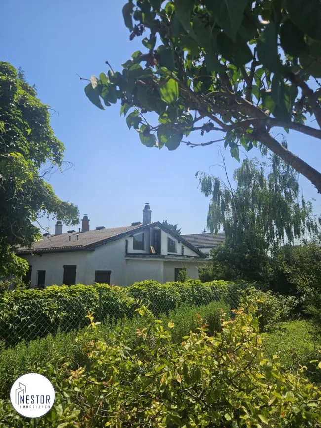 Haus - NESTOR Immobilien