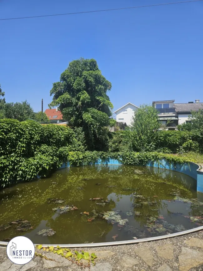 Haus - NESTOR Immobilien