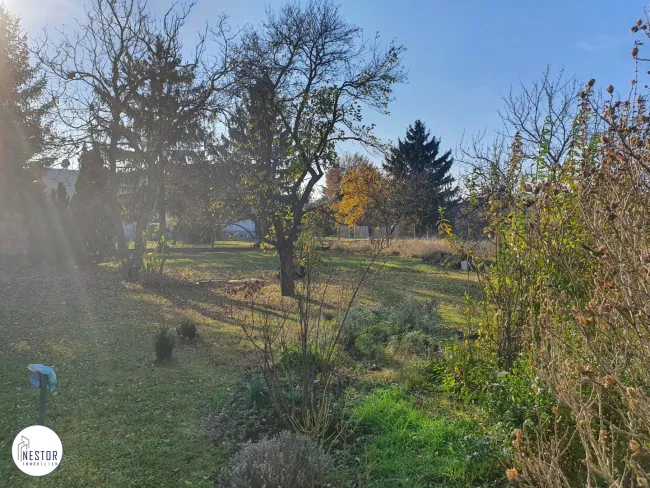 Grundstück - NESTOR Immobilien