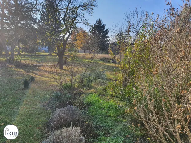 Grundstück - NESTOR Immobilien