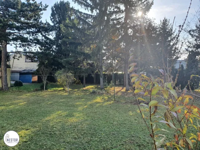 Grundstück - NESTOR Immobilien
