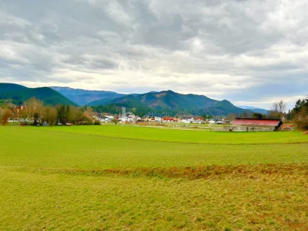 Die Perle des Piestingtales | Hinreißendes Grundstück mit Bergblick