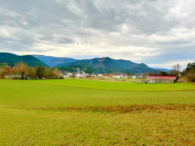 Die Perle des Piestingtales | Hinreißendes Grundstück mit Bergblick - Bild